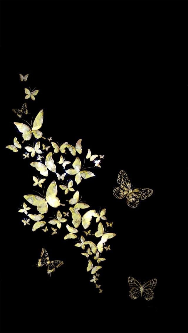 Butterfly Wallpaper For Iphone 5