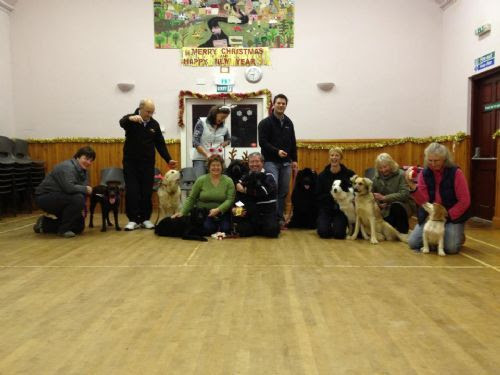 Active Paws Ltd - Pet Walker and Sitter in Laurencekirk (UK)