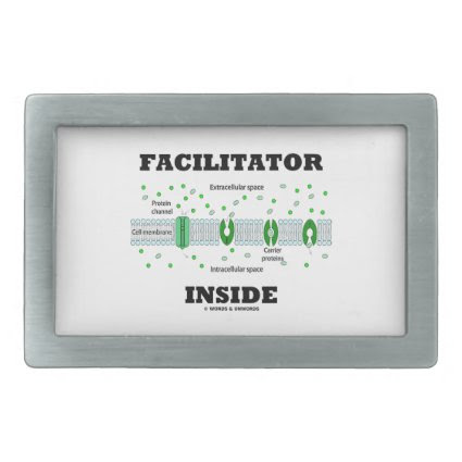 Facilitator Inside (Facilitated Diffusion) Belt Buckles