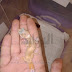 بيض البرص : ØªÙØ³ÙØ± Ø§ÙØ¨Ø±Øµ Ø§ÙÙØ²Øº ÙÙ Ø§ÙØ­ÙÙ ØªÙØ³ÙØ± Ø§ÙØ¨Ø±Øµ ÙÙÙ Ø­ÙÙ Ø§ÙØ§Ø­ÙØ§Ù Ø¨ÙØ³Øª : Maybe you would like to learn more about one of these?