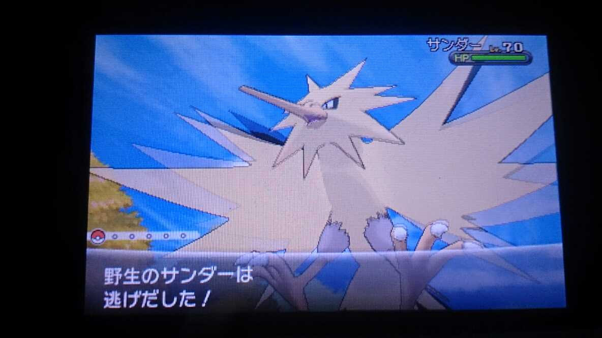 キルス 葡萄 汚い Xy サンダー 厳選 Tk Factory Jp