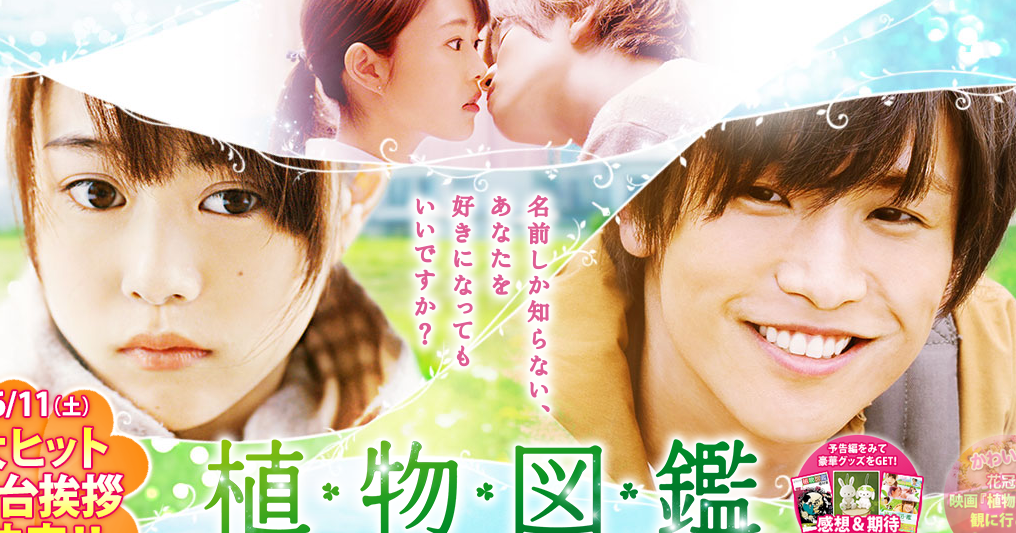 植物図鑑 ネタバレ内容と感想 樹の秘密とさやかの決心 キャスト 評価 メガネの底力