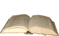 libro oggetto