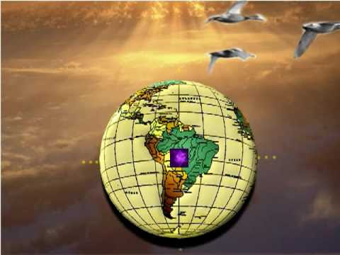 Imagem