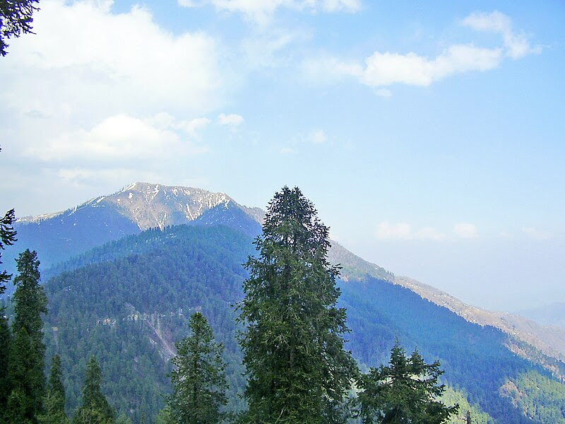 File:Miranjani from Nathiagali.JPG