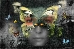 Borboleta