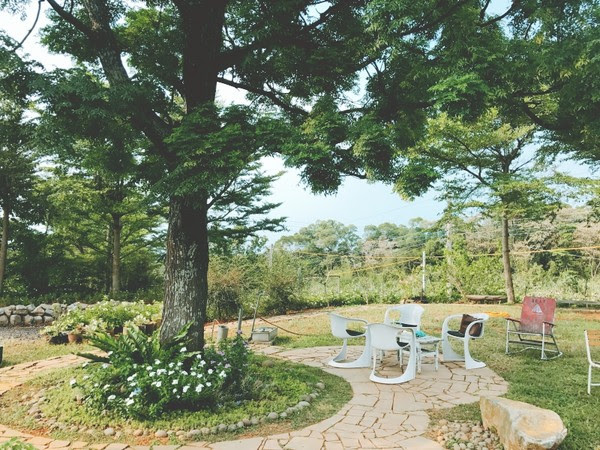 ▲北海岸祕境咖啡廳「papa在三芝」。(圖/Momomco提供)