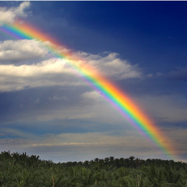 black and white rainbow photography.  www.flickr.com/photos/righteye/248114835/ for Rainbow in black and white 