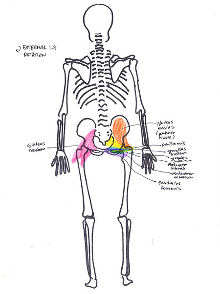 hip external rotation posterior | Flickr - Photo Sharing!