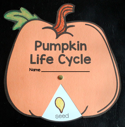 Parts of a Pumpkin Free Printable - Primary Theme Park