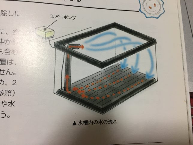 底面フィルターのメリットデメリットと楽なリセット方法 適当金魚