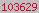 hits counter