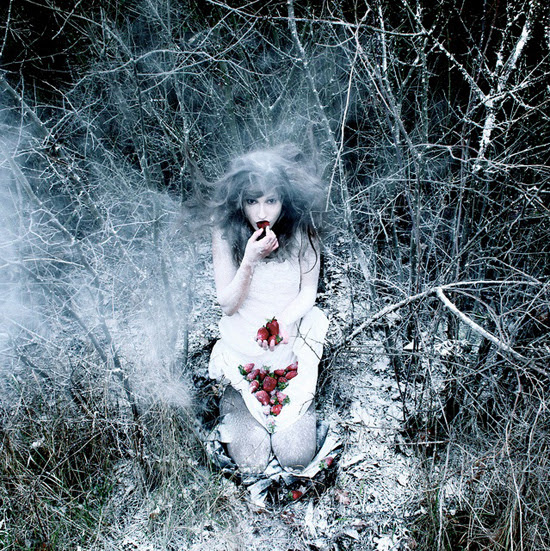 Escape into fictional worlds, photography by Helen Warner