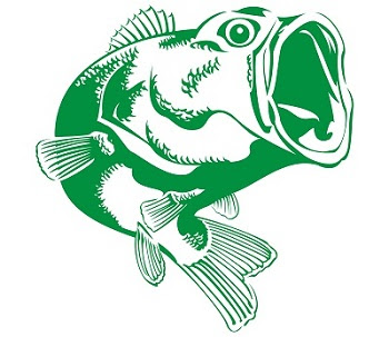 顎口虫 がっこうちゅう アニサキスより怖い魚の寄生虫