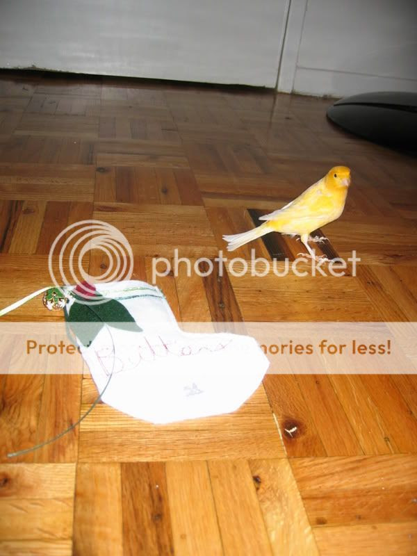 Photo Sharing and Video Hosting at Photobucket