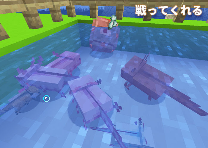 マイクラ ウーパールーパーの生態調査 洞窟アプデで実装されたmob マイクラモール