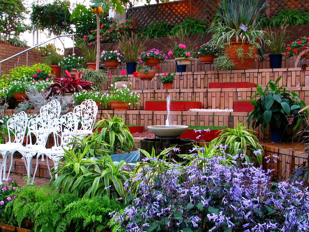 熱帯植物の花 温室植物の花 南国の花 壁紙写真集 無料写真素材