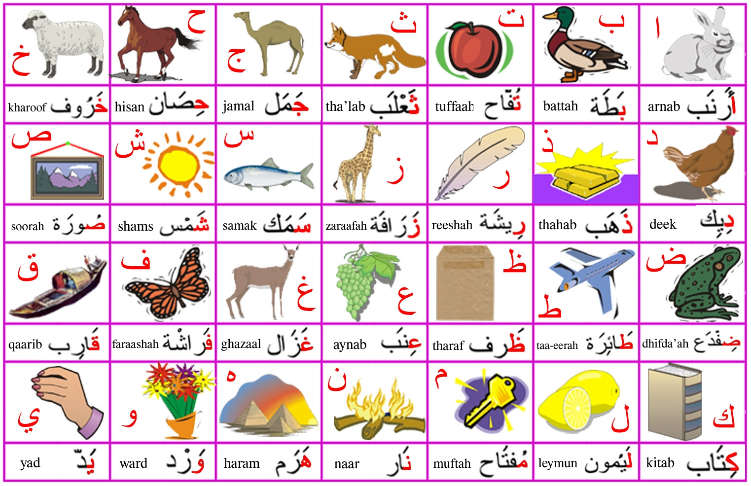 Alphabet Flash Cards On Pinterest Learning Arabic | Share ...