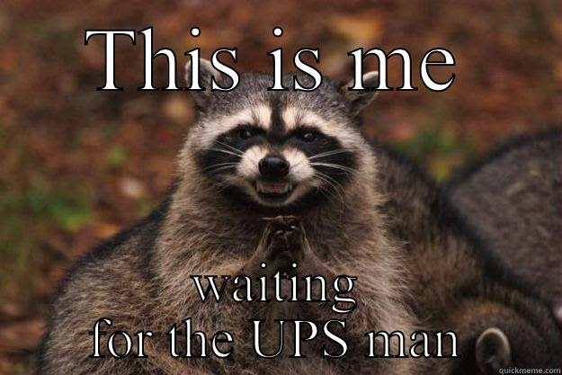 Waiting For The Ups Man Quickmeme