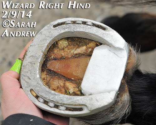 Wizard's New Shoes