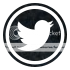  photo twitter_zps19pufl0j.png
