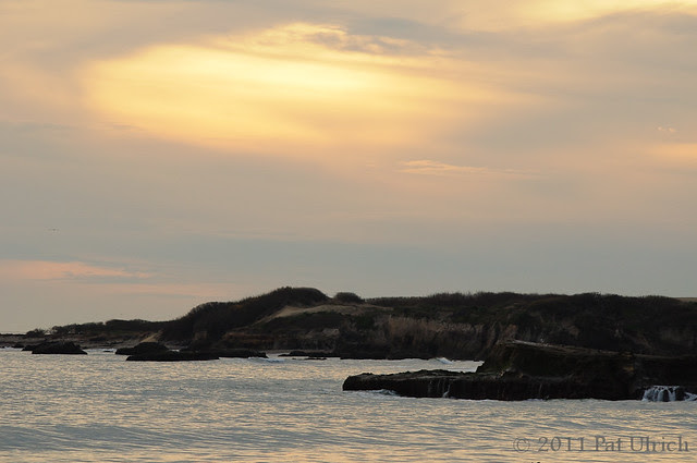 Año Nuevo Sunset -- Pat Ulrich Wildlife Photography
