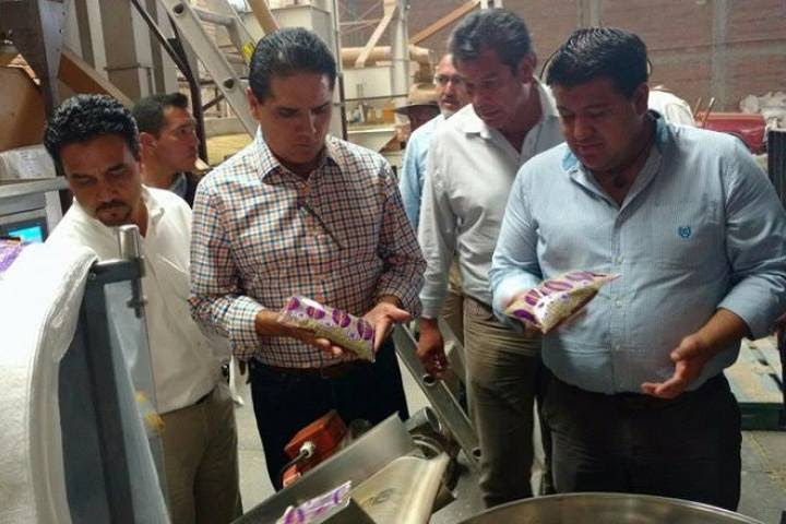 Coeneo y Huaniqueo, líderes en producción de lenteja: Juan 