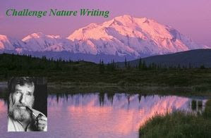 http://img.over-blog.com/300x196/1/93/46/69/images2/logonaturewriting1.jpg