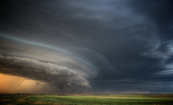 Image result for NORI NEGRI