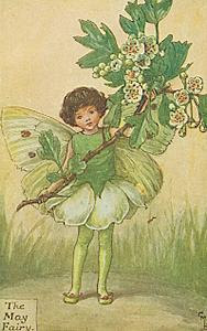 May fairy