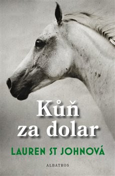 Obrázek