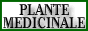 Plantele medicinale
