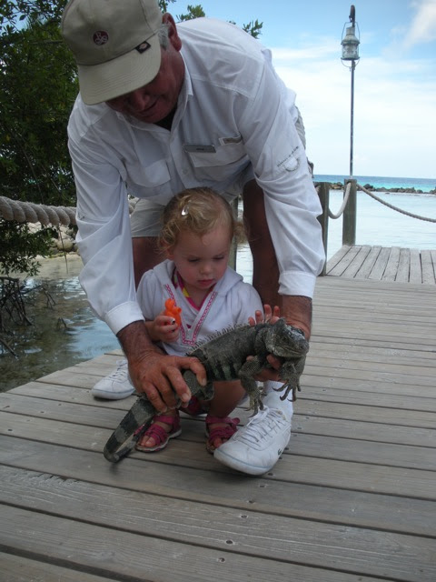 Aruba 2011 146