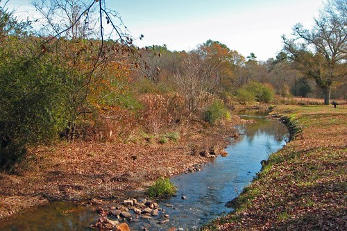 Prarie Creek