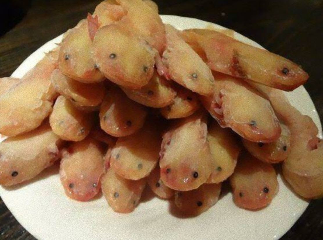 ウーパールーパーの唐揚げ丼の味は 大阪や東京で食べられている 生物モラトリアム