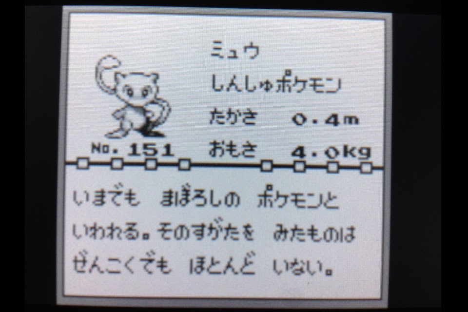 うさぎの隠れ家 Vc版ミュウを受け取って来た