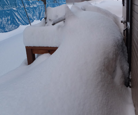 おかっきぃのブログ ウッドデッキの積雪対策は不要