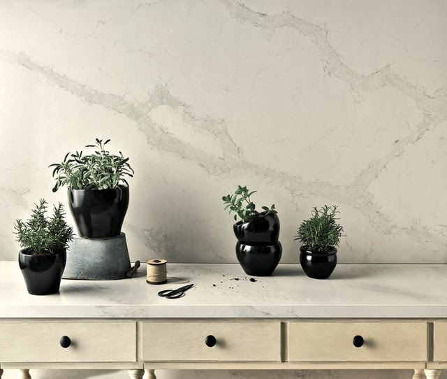 Calacatta nuvo california