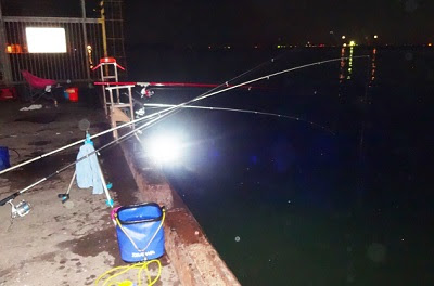 千葉県富津新港で車横付けでサビキ釣りアジの夜釣りの釣果と釣り場情報 主婦よね子のブログ