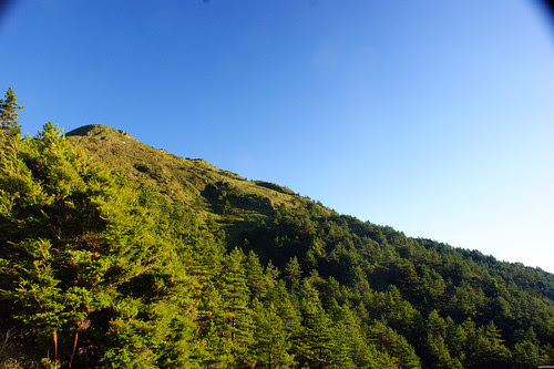 DSC09223