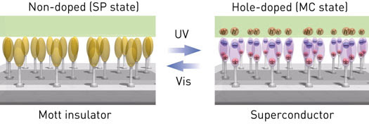 Mott insulator and superconductor