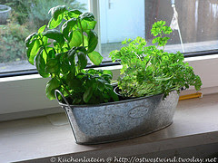 24-ulrike.jpg