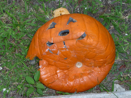 dead pumpkin