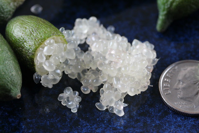 Finger Limes - Citrus Caviar - From Frieda's Produce