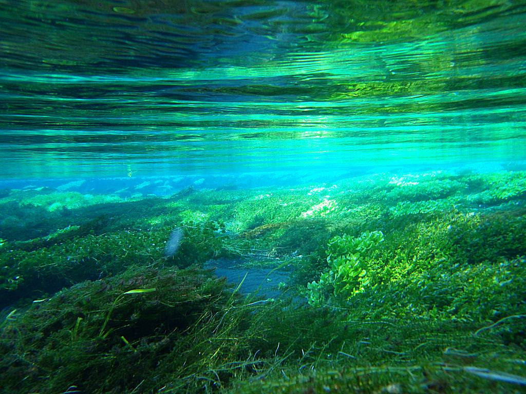 雨の時でもサングラスはおすすめ その理由 Jpg