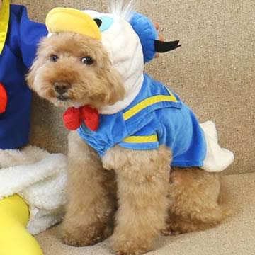 ディズニードナルドダッグ ドナルド ペットパラダイス 犬服販売店 なりきりコスチューム販売店 犬服 ペットウェア はこちら