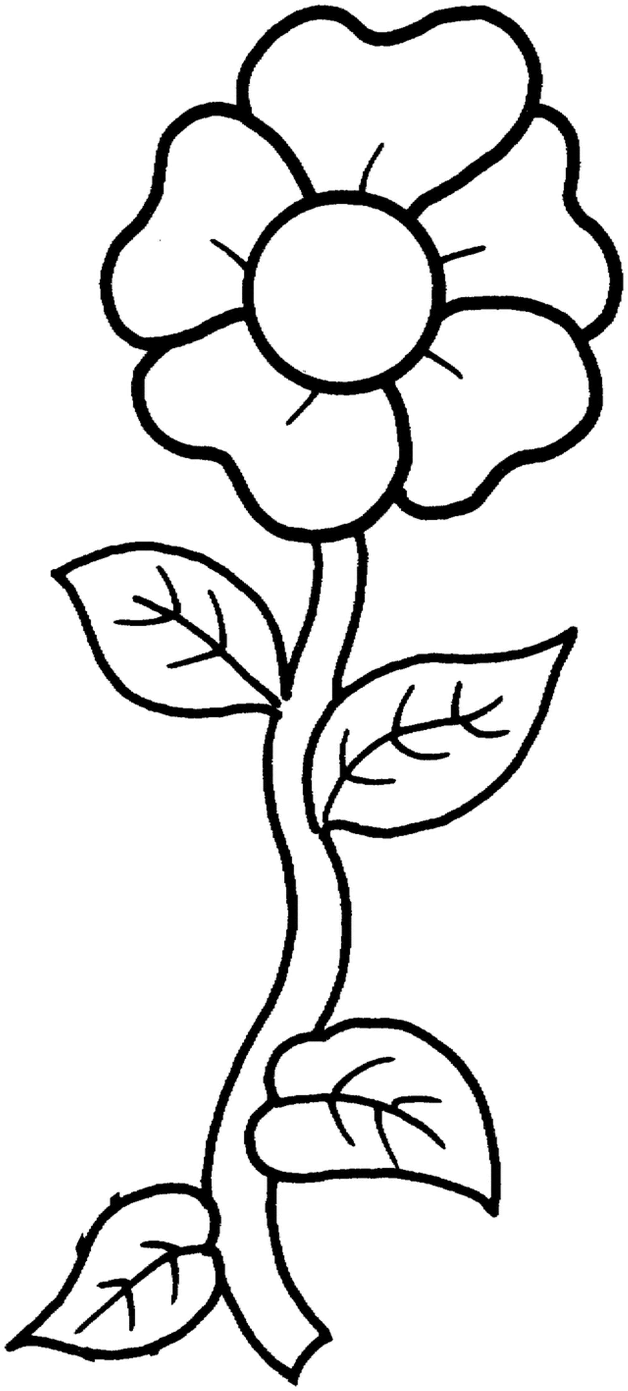 Download Free Printable Flower Coloring Pages For Kids - Best ...