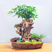 Tergokil Pot Bonsai Jumbo