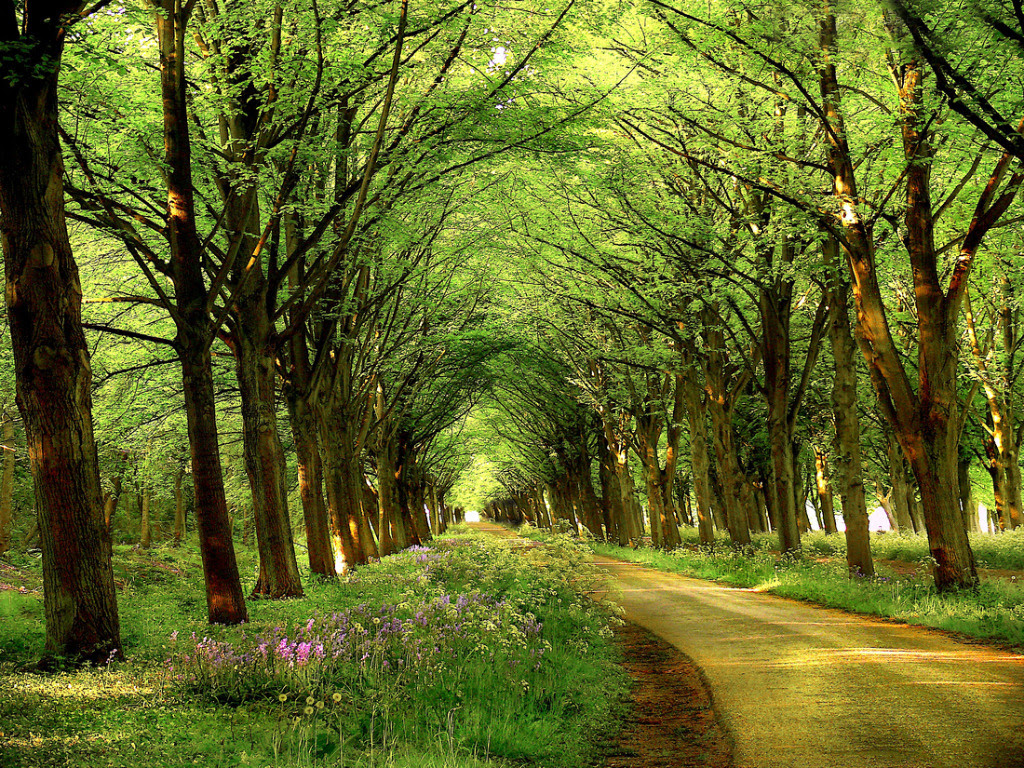 1359BD404D7235710C52BC