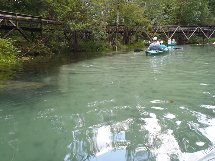 Santa Fe River Florida Hikes!